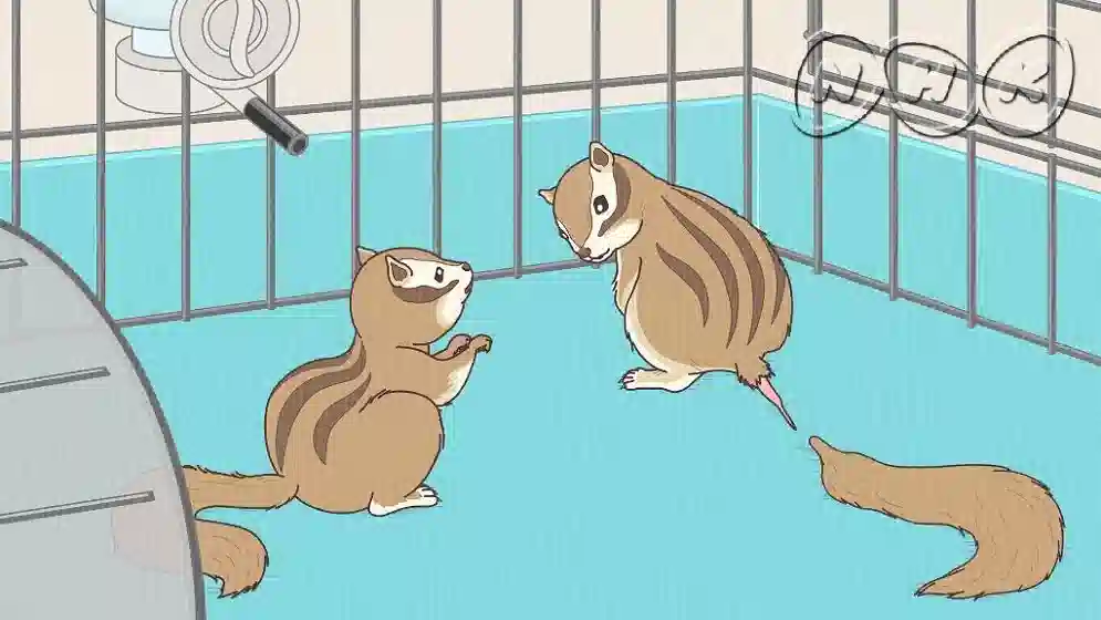 Обложка от аниме Энциклопедия жалких созданий: Спецвыпуски