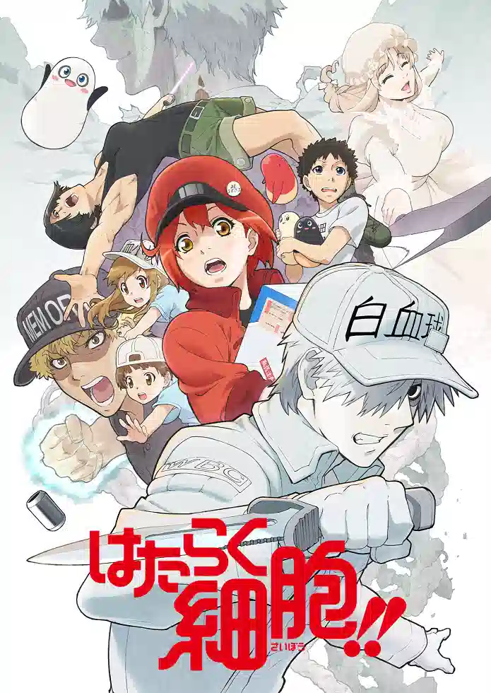 Обложка от аниме Клетки за работой! [ТВ-2]