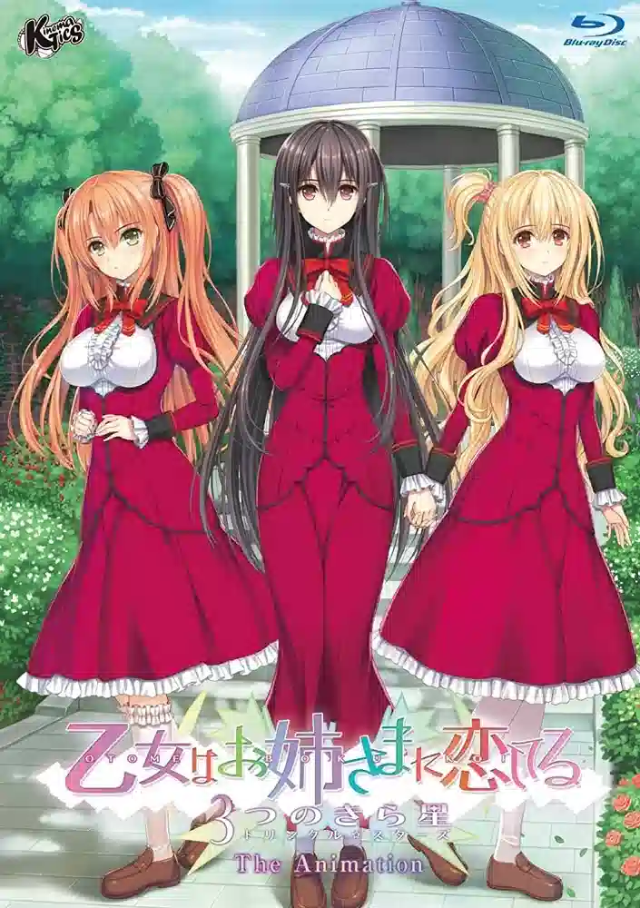 Обложка от аниме Девушка влюбилась в старшую сестру OVA-2