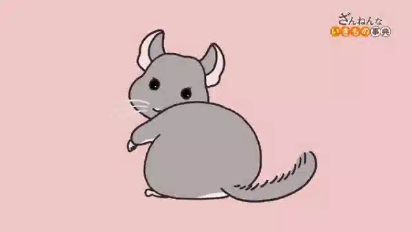 Обложка от аниме Энциклопедия жалких созданий 3